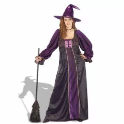 Hocus Pocus Witch Plus Adult Costume