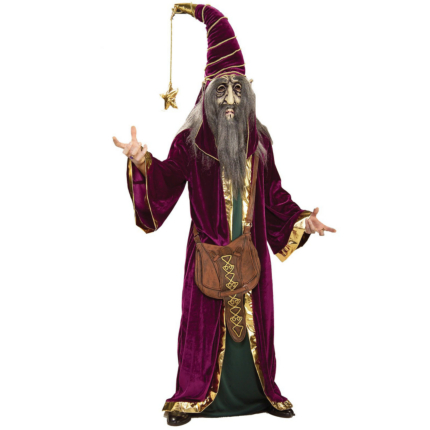 Wonderful Wizard Ultimate Adult Costume 1 Wonderful Wizard Ultimate Adult Costume
