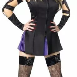Wicked Witch Adult Costume