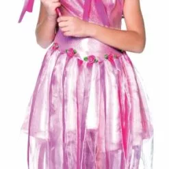 Fairy Costume