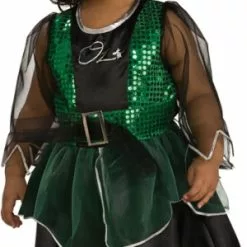 Wicked Witch Costume