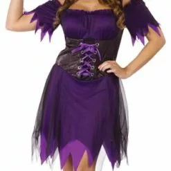 Dark Witch Adult Costume