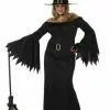 Elegant Witch Adult Plus Costume