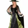 Goth Maiden Witch Adult Costume