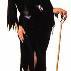 Bewitching Witch Adult Costume