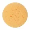 Make-Up Sponge