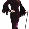 Elegant Plum Witch Adult Costume