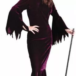 Elegant Plum Witch Adult Costume