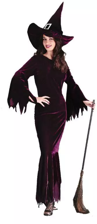 Elegant Plum Witch Adult Costume 1 Elegant Plum Witch Adult Costume