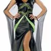 Fabulous Witch Green Adult Costume