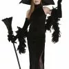 The Merry Witch Adult Costume