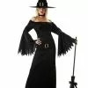 Elegant Witch Adult Costume