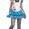 Alice In Wonderland Costume