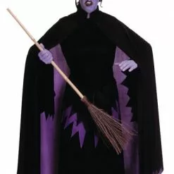 Wizard Of Oz Wicked Witch Of The West Adult Costume
