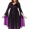 Magical Witch Plus Size Adult Costume