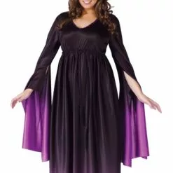 Magical Witch Plus Size Adult Costume