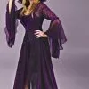 Shimmering Rose Witch Adult Costume