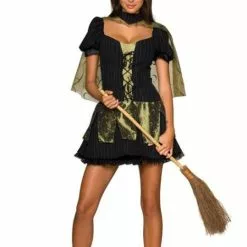 Wicked Witch Costume