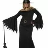 Elegant Witch Plus Size Adult Costume