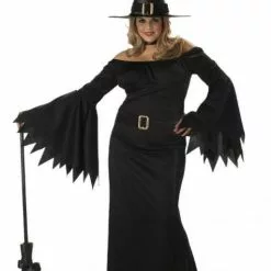 Elegant Witch Plus Size Adult Costume