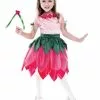 Pretty Petal Fairy Child Costume 4-6