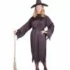 Witchy Witch Plus Size Adult Costume