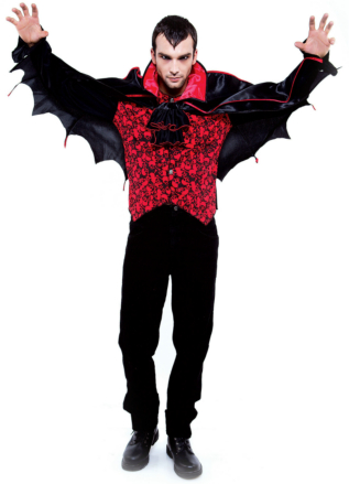 Count Adult Costume 1 Count Adult Costume