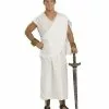 Toga Plus Size Costume For Adults