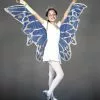 Child Fairy Wings