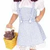 Dorothy Costume