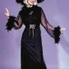 Feather Witch Adult Costume