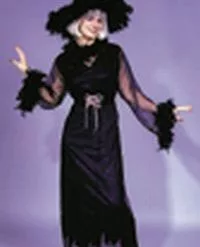 Feather Witch Adult Costume