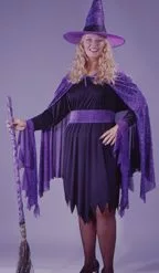 Shimmering Witch Plus Size Adult Costume