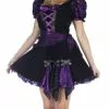 Witch Purple Punk Adult Costume