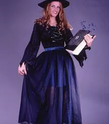 Velvet Storybook Witch Adult Costume