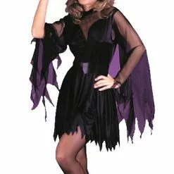 Sexy Witch Adult Costume