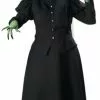 Wicked Witch Plus Size Costume