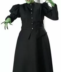Wicked Witch Plus Size Costume