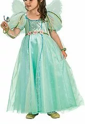 Butterfly Fairy Costume