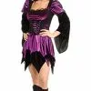 Sexy Plus Size Witch Costume