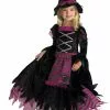 Fairy Tale Witch Costume