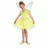 Tinker Bell Costume