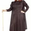Classic Witch Plus Size Adult Costume