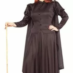 Classic Witch Plus Size Adult Costume