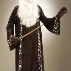 Wizard Adult Costume