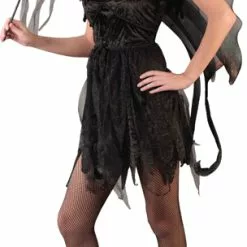 Hot Fairy (Black ) Teen Costume