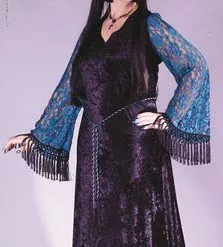 Gothic Lace Witch Adult Costume