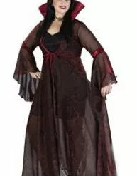 Witch Shimmering Rose Plus Size Adult Costume