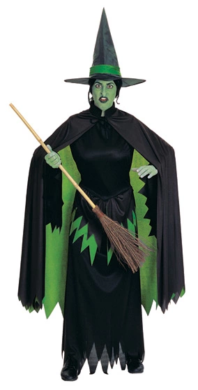 Wicked Witch Costume 1 Wicked Witch Costume