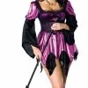 Plus Size Witch Costume